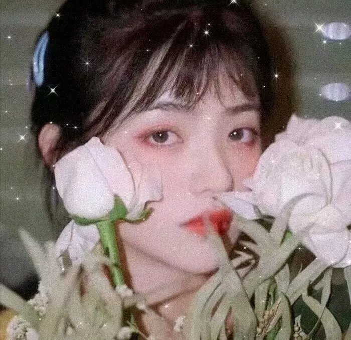 女王蜂