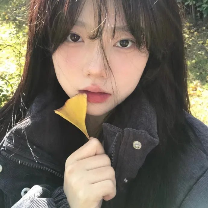 熊的传说