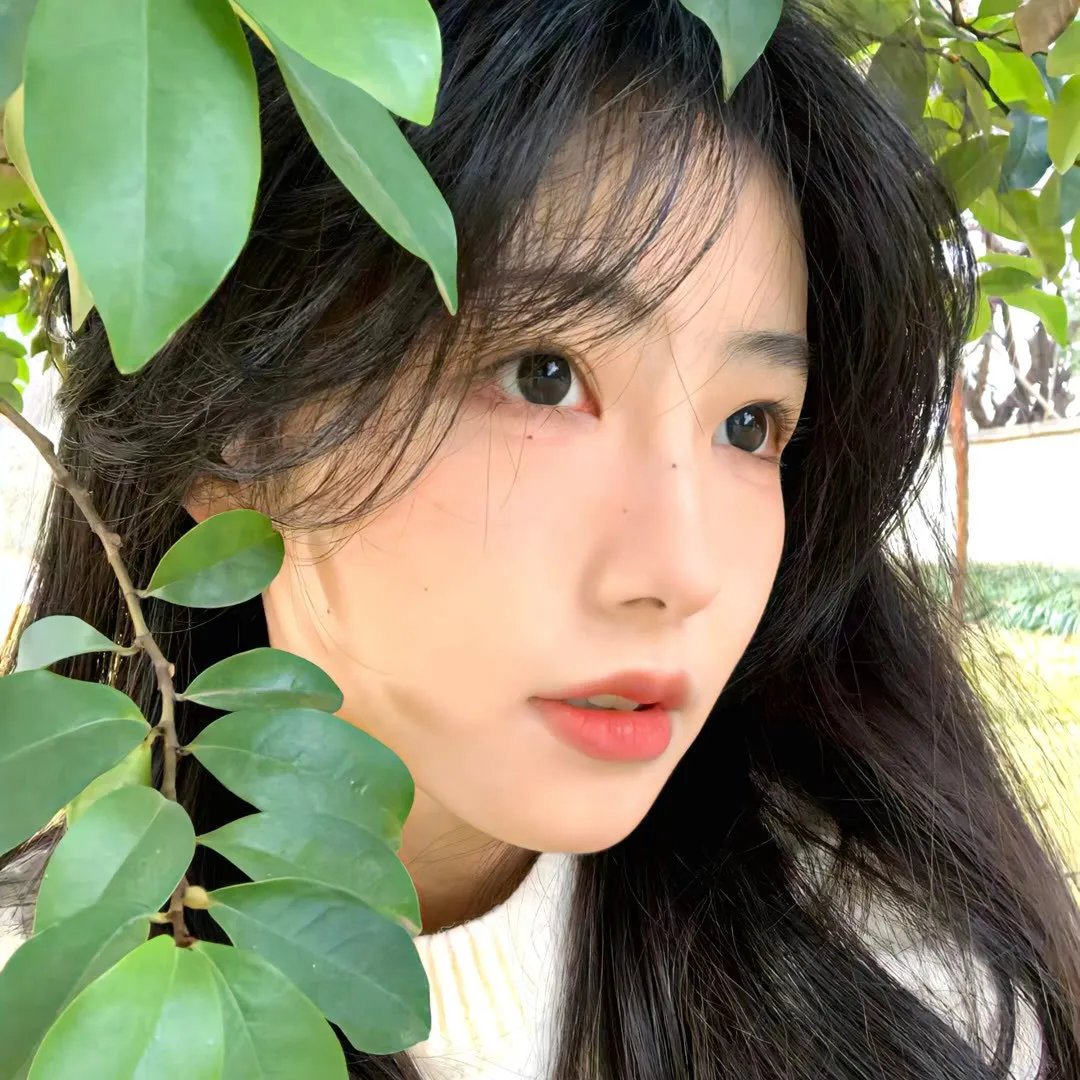 卡门还乡
